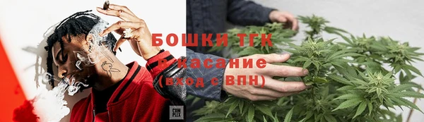 индика Коряжма