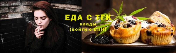 индика Коряжма