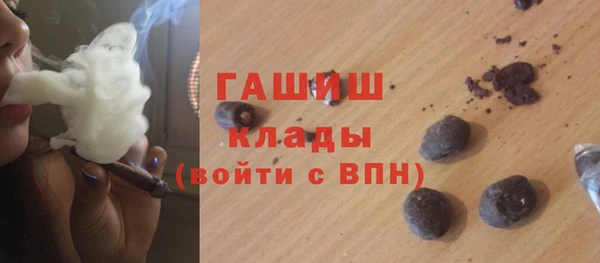 индика Коряжма