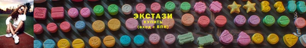 индика Коряжма