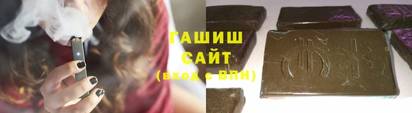 индика Коряжма