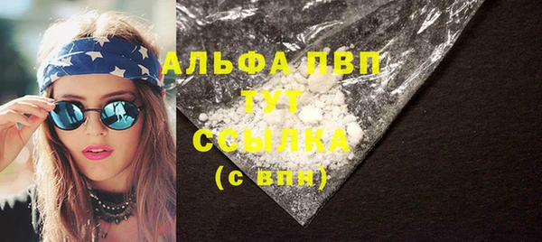 индика Коряжма