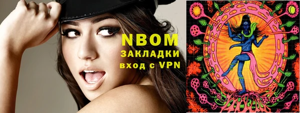 индика Коряжма