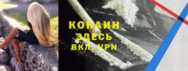 индика Коряжма