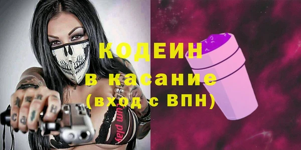 индика Коряжма