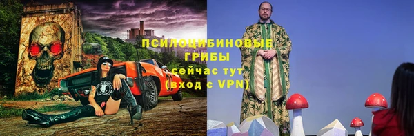 индика Коряжма