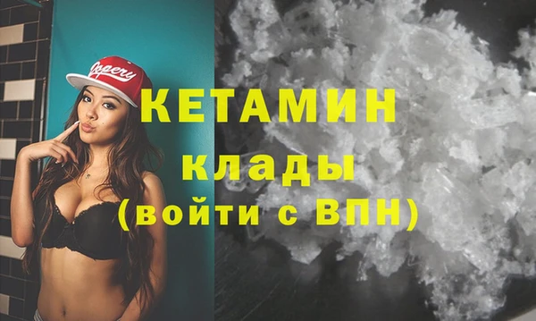 индика Коряжма