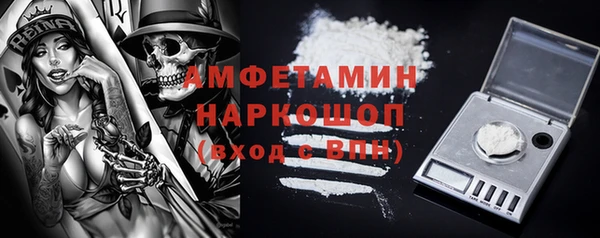 индика Коряжма