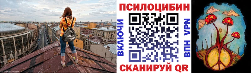 Купить закладки  Циолковский  Псилоцибиновые грибы GOLDEN TEACHER 